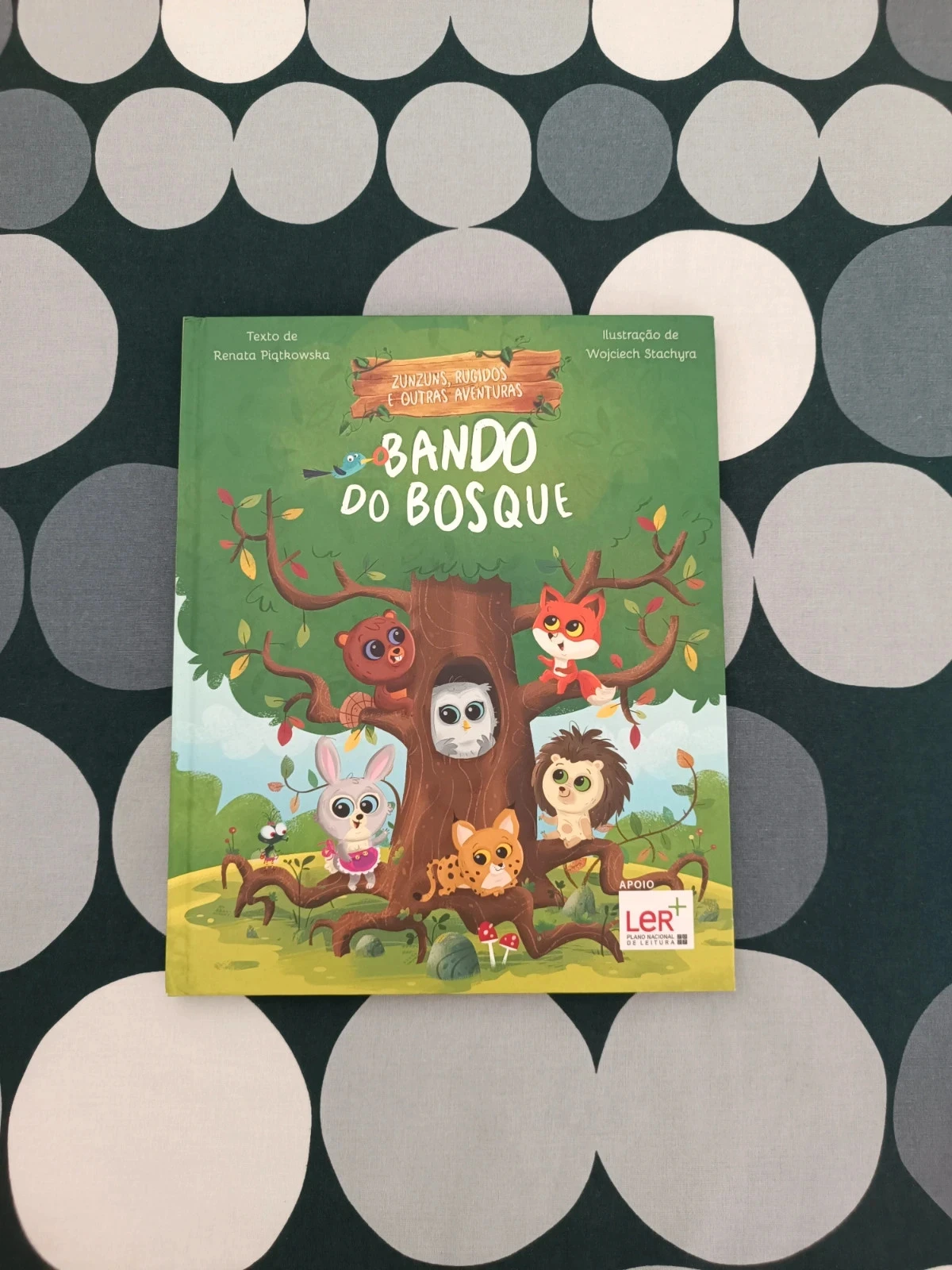 Livro Bando do Bosque - Zunzuns, Rugidos e Outras Aventuras